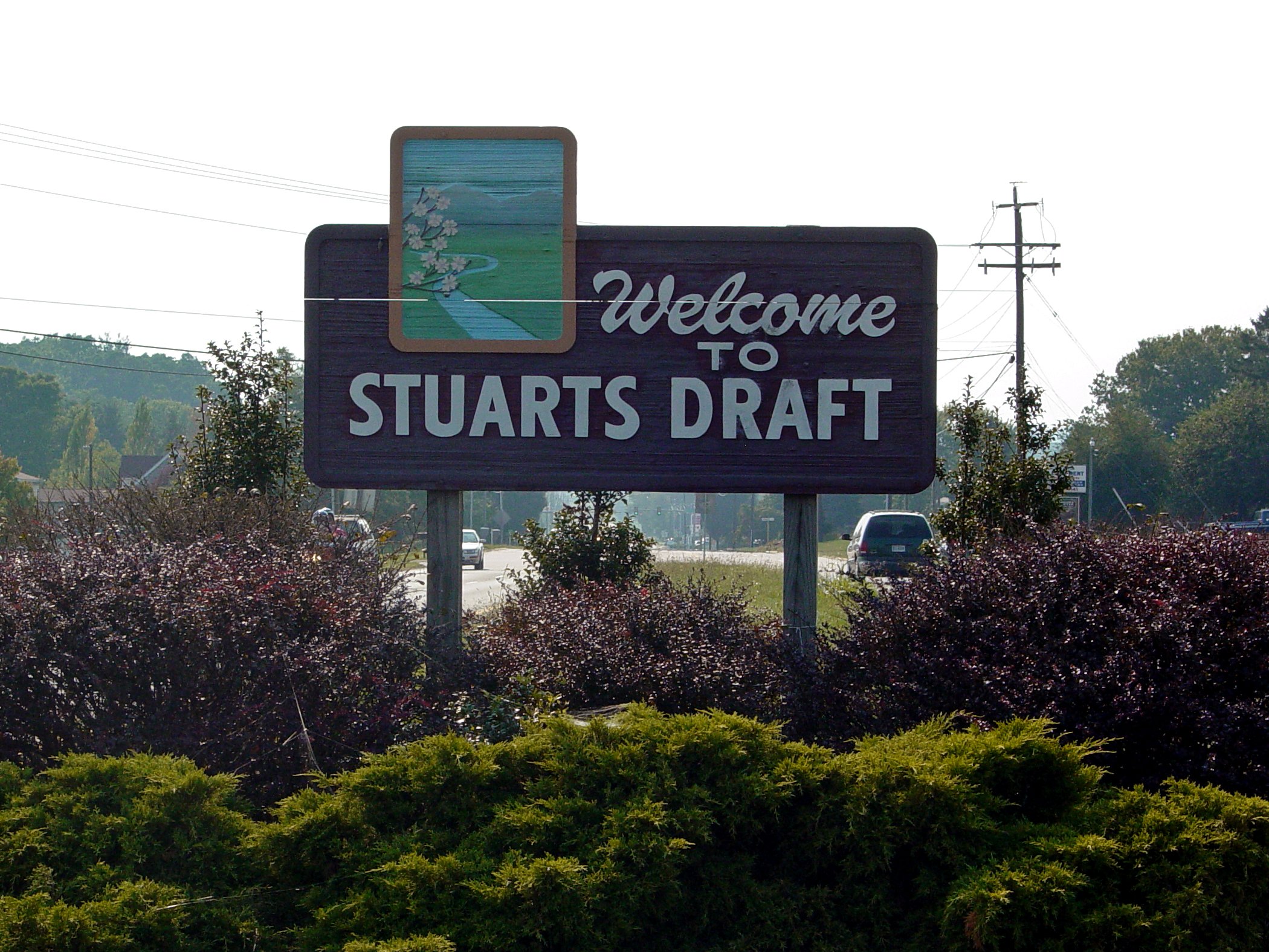 stuarts_draft